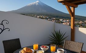 Drago Hostel