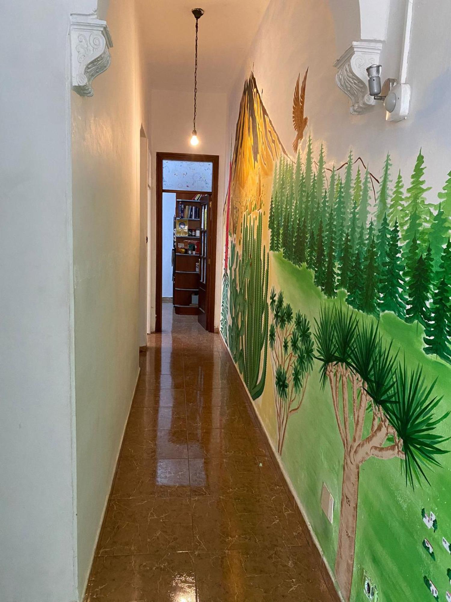 Drago Hostel Icod De Los Vinos Zewnętrze zdjęcie